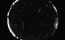 SHL002_20240812_191811_324589_stack_112_meteors.jpg SHL002_20240812_191811_324589_stack_112_meteors.jpg