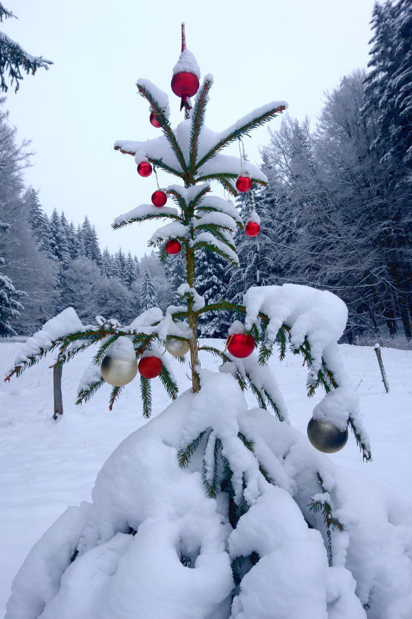 Fröhliche Weihnachten